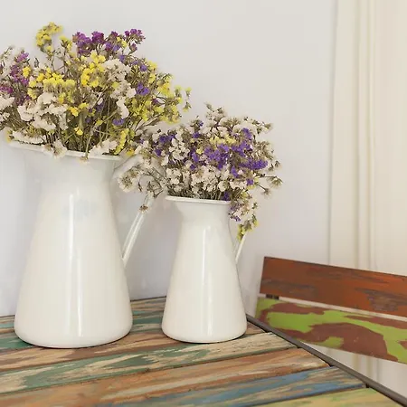 圣卡塔琳娜复古之家公寓